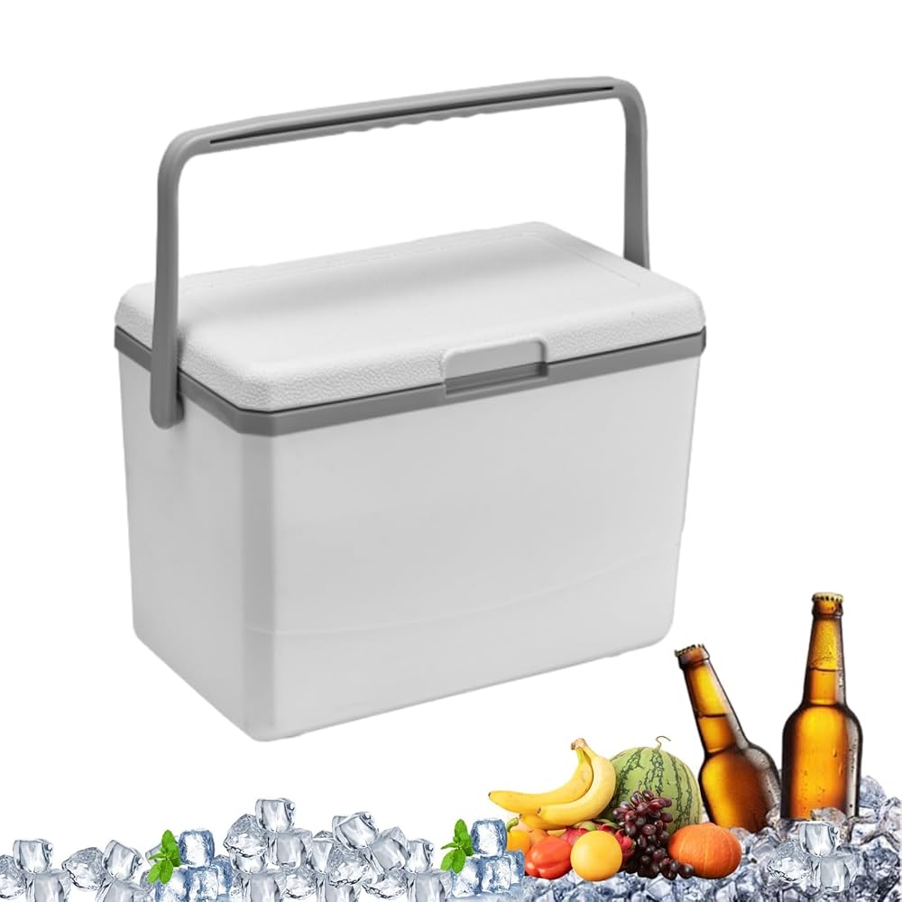 Amazon | fengfeng クーラーボックス3L ワンプッシュで開閉